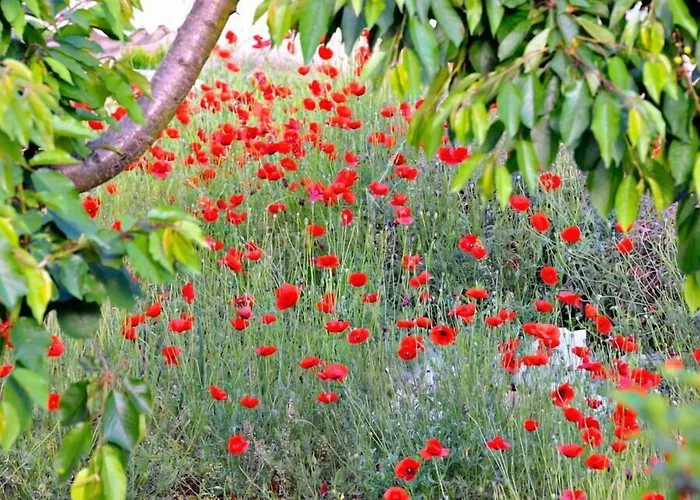 Kostas & Despina Lidia